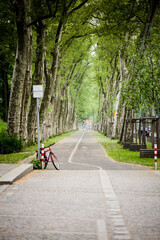 Naklejka premium bike attached to a sign on the road in an alley of green trees