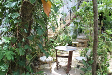 garden in the garden