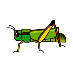 Green Grasshopper icon vector on a white background - Simple Things