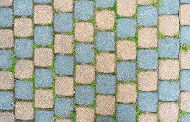 Sidewalk tiles. Closeup of paving slabs background. Street paving slabs. Cement block of the road. Cement brick squared stone floor background. Green grass between the slabs