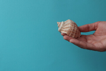 Seashell in male hand on a blue background. Concept - Vacation at sea.