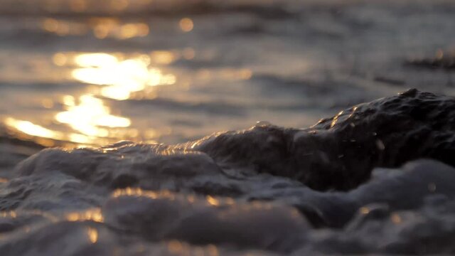 Dead stony coral piece on grainy sand beach, ocean wave washes the shore during the sunset.