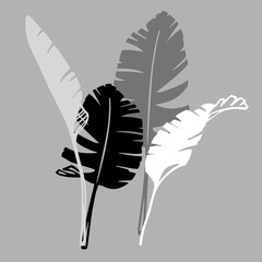 Palm leaves as a design elements. White, black and grey  silhouettes on grey background. Hand drawn ink style. Vector illustration. Isolated patterns. Tattoo inspiration