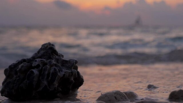 Dead stony coral piece on grainy sand beach, ocean wave washes the shore during the sunset.