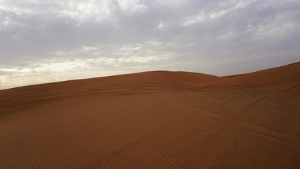 Fototapeta na wymiar Red Sand at the arabian desert in Dubai.