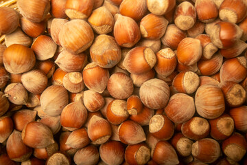 Hazelnuts in bulk. Surface texture. Close up.
