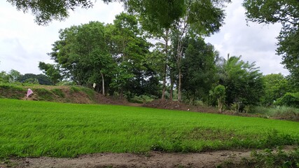 girl walking in the woods
