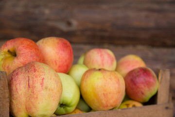 Fototapeta na wymiar Ripe apples on a wooden wall background.