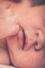 Newborn little boy. Shallow depth of field. Sleeping newborn baby in a wrap on white blanket. Beautiful portrait of little child girl 7 days, one week old.