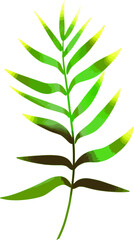 A green branch from a tropical plant. Palms. Vector graphics. Hand drawing