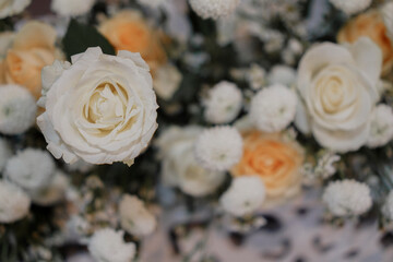 Pastel colors floral wedding in indoor elegant beautiful concept decoration
