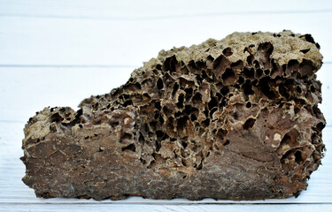 Brown termite nest isolated on white table