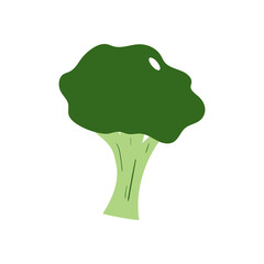 broccoli vector design template illustration.icon logo design elements