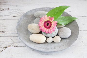 Zen Flowers With Grey Pebble