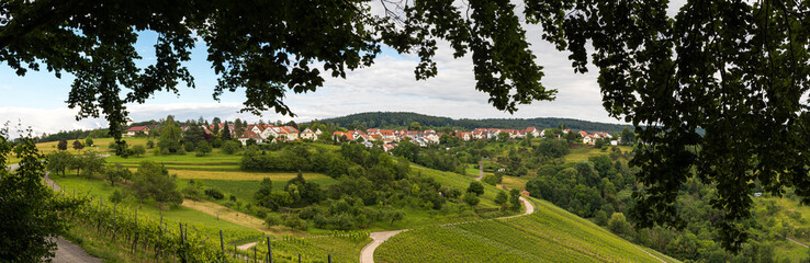 Fototapeta na wymiar Panorama Winnenden-Breuningsweiler mit Baum