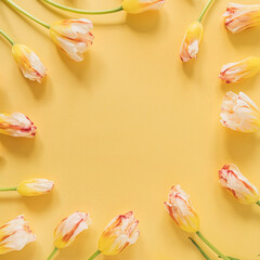 Round frame made of yellow tulip flowers on yellow background. Flat lay, top view festive holiday celebration. Copy space mockup