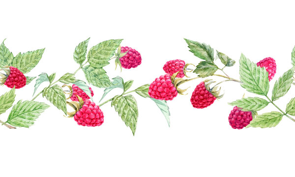 Beautiful seamless horizontal pattern with watercolor raspberry and leaves. Stock illustration.