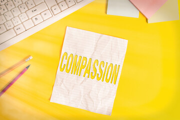 Word writing text Compassion. Business photo showcasing empathy and concern for the pain or...