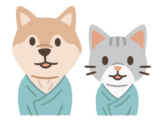 検査着を着てペットドックを受診する犬と猫