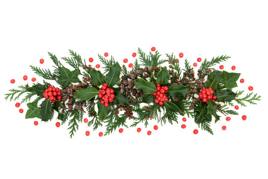Winter greenery with holly & loose red berries, cedar cypress leaves, ivy & pine cones forming a festive display element for Christmas & New Year on white background. Flat lay, top view, copy space.