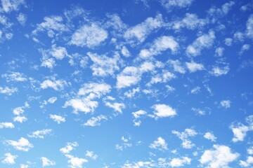 Beautiful Blue Sky with Fluffy White Clouds