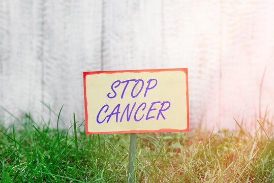 Writing note showing Stop Cancer. Business concept for prevent the uncontrolled growth of abnormal cells in the body Plain paper attached to stick and placed in the grassy land