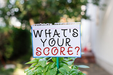 Word writing text What S Your Score Question. Business photo showcasing Tell Personal Individual...