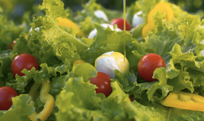 Olive oil pouring on Tomato and Mozzarella Salad