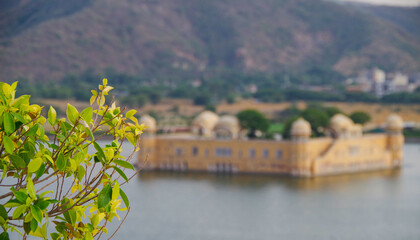 Water Palace Jal Mahal, Man Sager Lake, Jaipur, Rajasthan, India, Asia