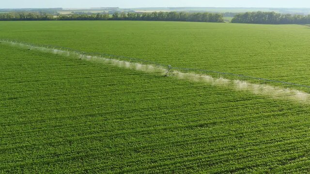Aerial view of an agricultural center pivot irrigation systems are in working on a cornfield