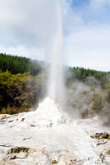Lady Knox geyser is activated by a soap powder. Rotorua area, New Zealand