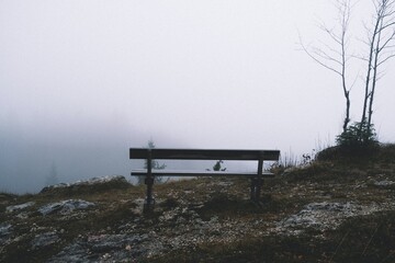 Obraz premium forest bench