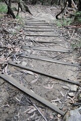 The wooden stairs for hiking in the Blue Mountains national park