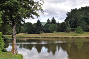 Obraz premium Woodland Scene with Trees & Large Pond with Reflections 