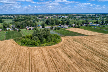 Wheat field aerial view. Rural landscape middle Russia