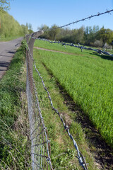 rostiger Stacheldraht