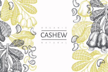Hand drawn sketch cashew design template. Organic food vector illustration on white background. Vintage nut illustration. Engraved style botanical background.