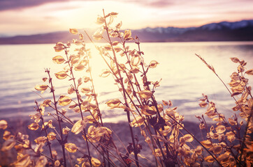 Autumn lake