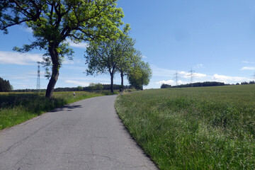 Fototapeta premium Straße zwischen Altengesees und Lothra