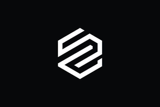 Minimal Innovative Initial ZS logo and SZ logo. Letter ZS SZ creative elegant Monogram. Premium Business logo icon. White color on black background