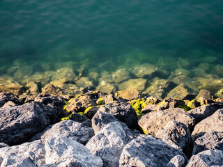 Background created by the rocks of a Cantabrian sea port wall at low tide with dry, wet and underwater rocks and crustaceans stuck to the stones