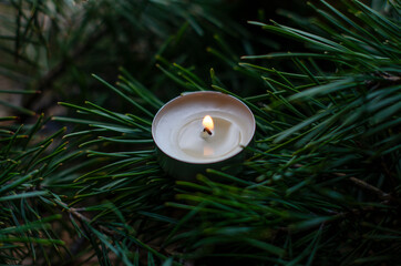 candle on the background of Christmas tree branches