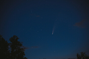 Comet Neowise & stars on clear sky at night. Trees silhouettes on foreground