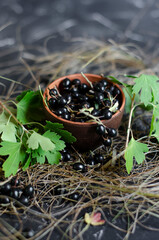 black currant in a clay plate