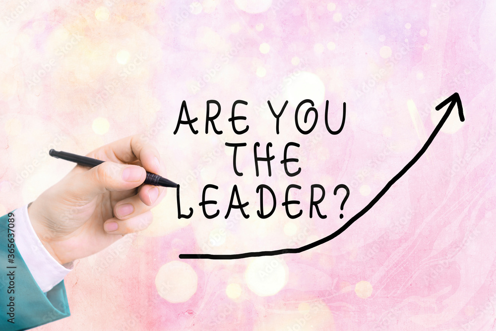 Poster handwriting text writing are you the leader question. conceptual photo asking for the qualification 