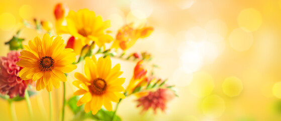 Beautiful autumn flowers on yellow blurred background. Dahlia, daisy,  sunflowers. Panorama, banner...