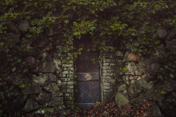 Strange door covered by ivy
