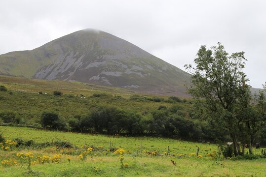 The Holy Mountain Croagh Patrick viewed from the start of the summit walk in Murrisk, County Mayo, Ireland.