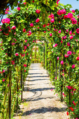 Rose arch in Alhambra palace castle, Granada, Spain