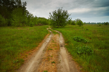 Fototapeta na wymiar View of a dirt road in a spring forest on a cloudy day.